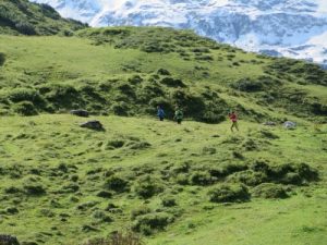 Transalpine Run 2017