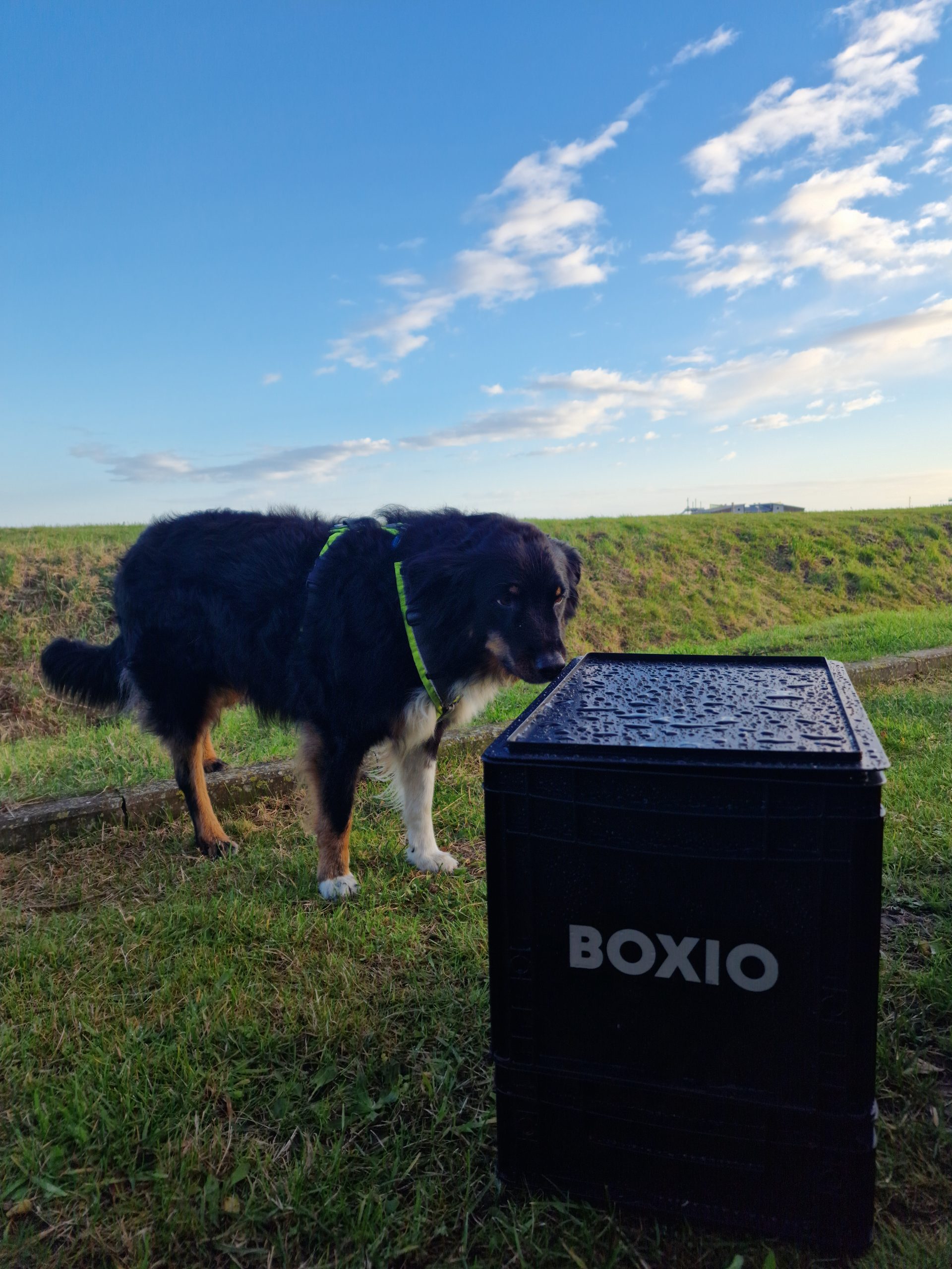 BOXIO TOILET – Trenntoilette -  - Die Seite für  Trailrunning und Outdoorsport