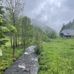 #66 - Ein Trekking Abenteuer im Schwarzwald